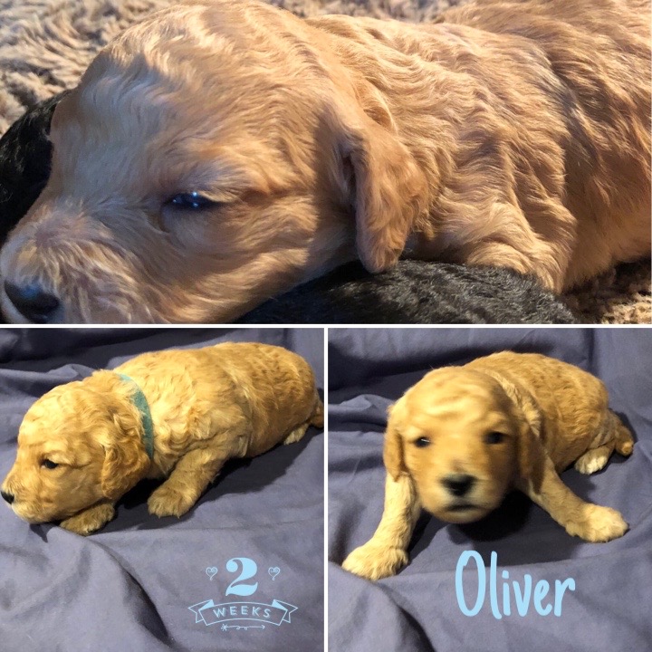 146889F3-D5B9-4CA9-B669-83BFA99C43B5