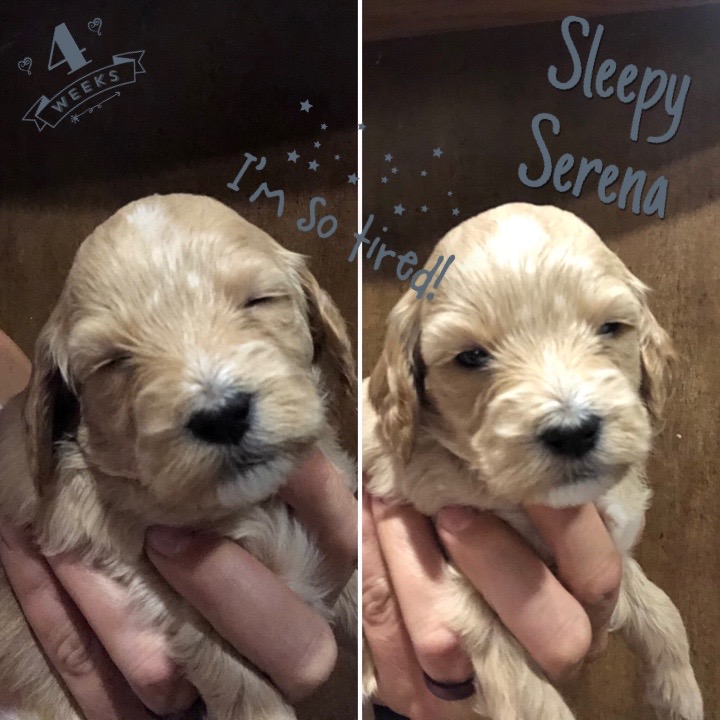 25CE0A33-5D1C-4BFF-ADB8-87D53A874DAA