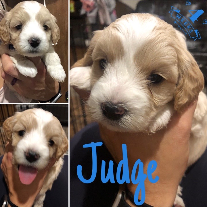 2E5FA6EE-9840-4FCD-8429-44DED2531B0A