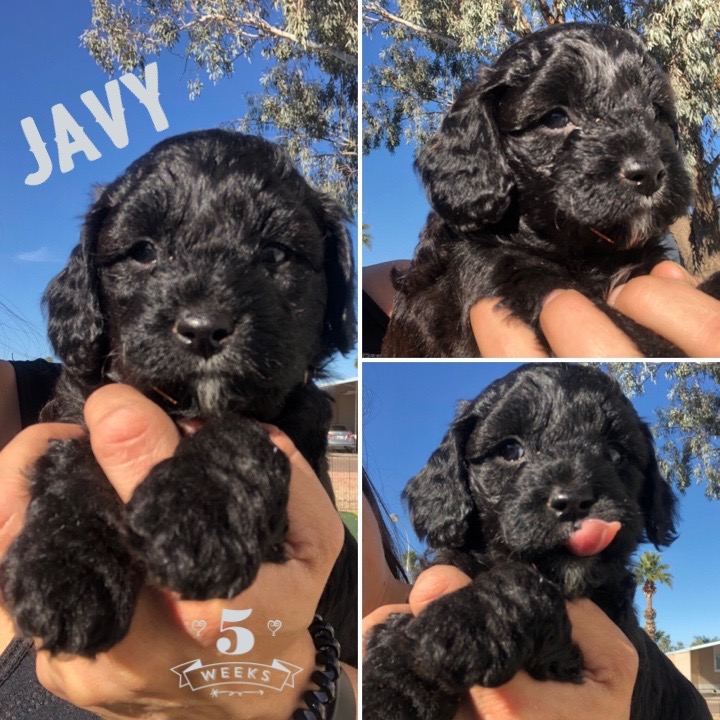 3A613A79-A7E2-46FC-82A7-5D0C557ED4F6