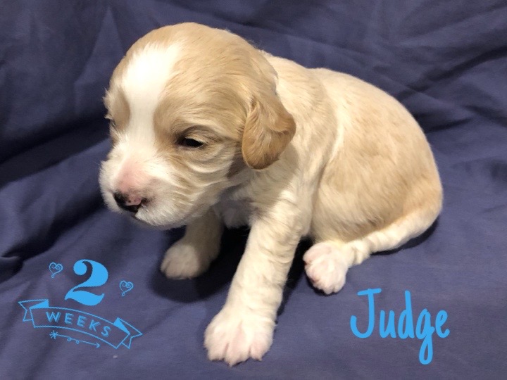 4514D01D-F9CD-4D30-8137-520B0349B9AD