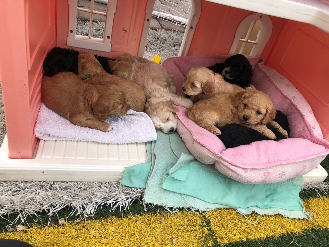 46D3C03C-DE56-440E-B324-A1C876051072