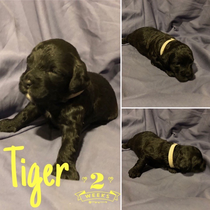 47C6A4D3-F8DC-47B8-9FF5-740FBD65A5BC