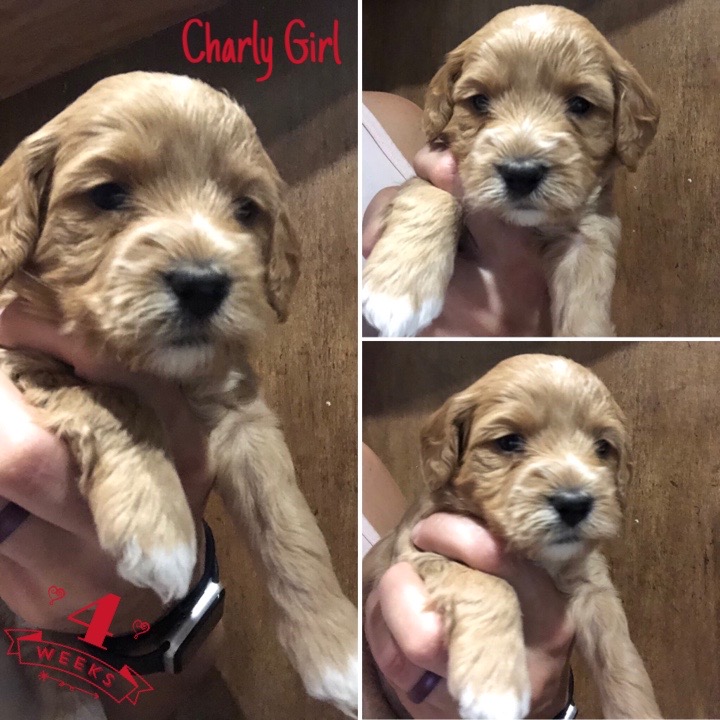 6D08644A-F02D-45E6-8488-8EC16ACB3895