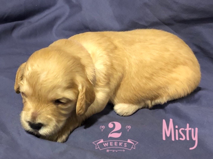 741EEA8A-8E31-412E-B670-B9338BFD0A12