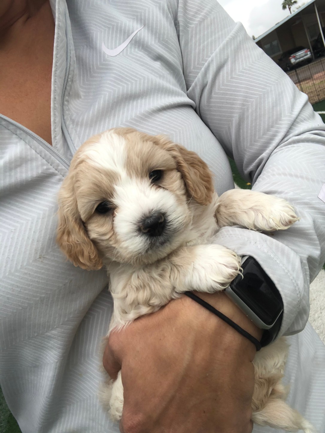 7E018027-536E-4642-A18C-2FE913FAA35B