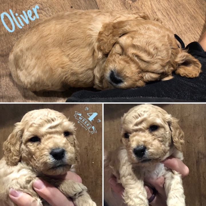 9EB00A06-6ED1-41F7-A547-F642B931DE21