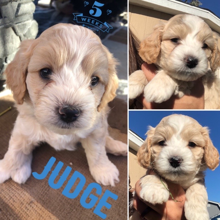 A2CC9B9E-3323-4597-B0B7-3066AFDF574F