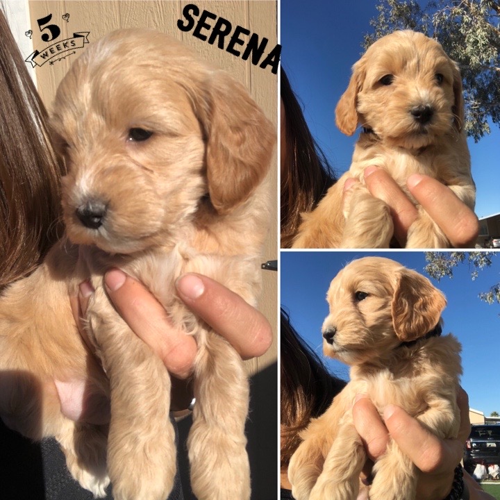 A365F557-8220-46DB-8323-EE74BB77F242