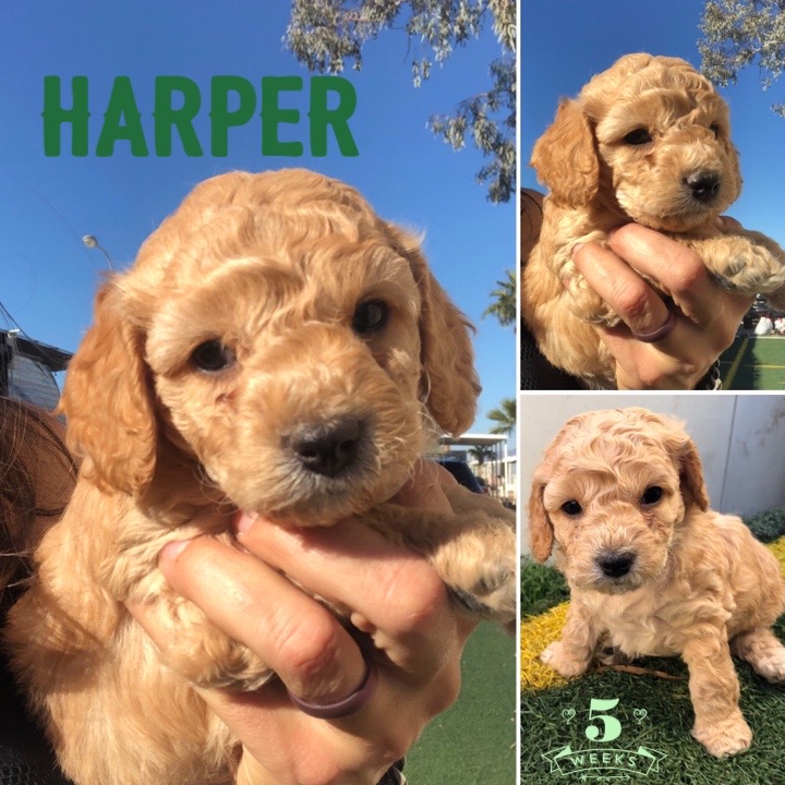 D0836C40-2180-4411-BA36-1FEA26904BDA