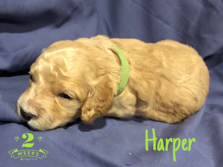 D2232AE0-4CDB-492F-812A-BC759AA58B51