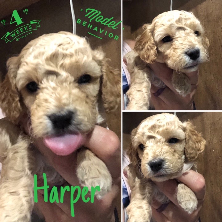 E06D07D7-9BEE-463B-89BD-AA222E535CE6