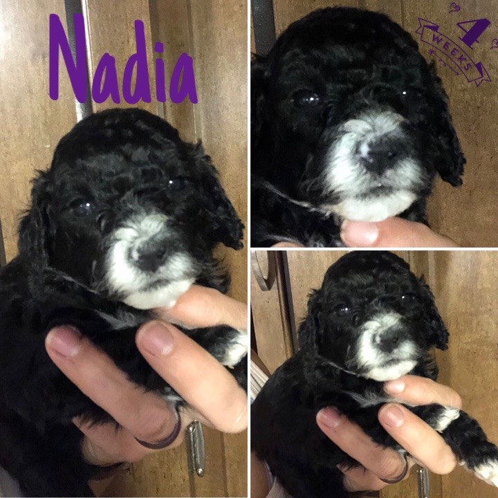 E9D0A882-B4DA-412A-B332-B45F177F9832