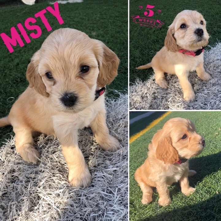 F2E3F718-0E5A-43FC-8457-52D15CF04C05