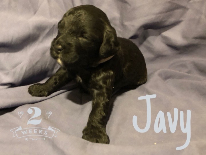 F49C0B0F-491C-46CF-A590-951B48A66D0F