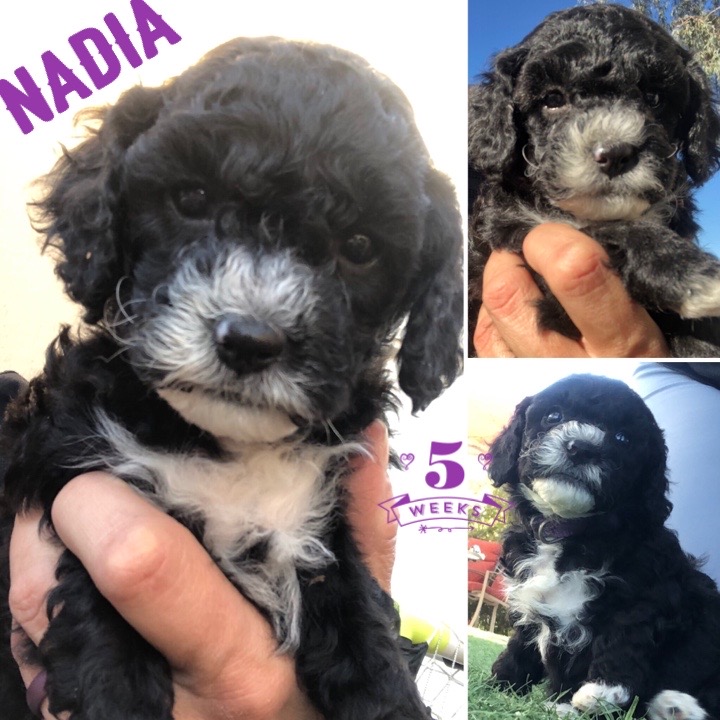 FF67DCB0-F3CE-4D8D-99E2-C4EB0D142F7E