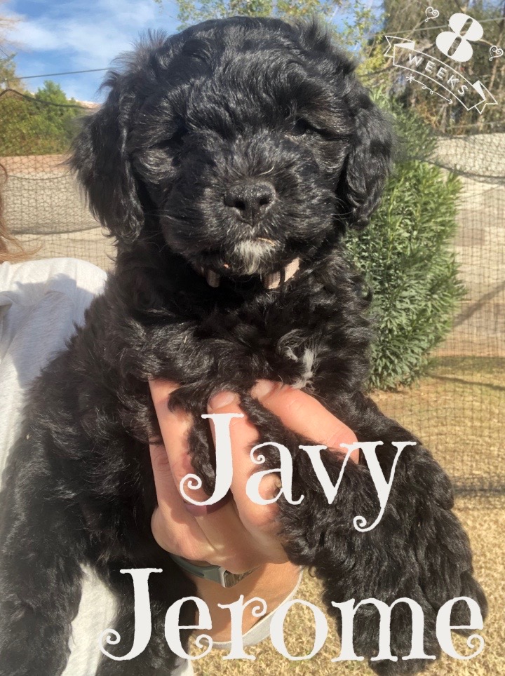 25D44B1E-348B-43BA-B113-40A8340F8E5F