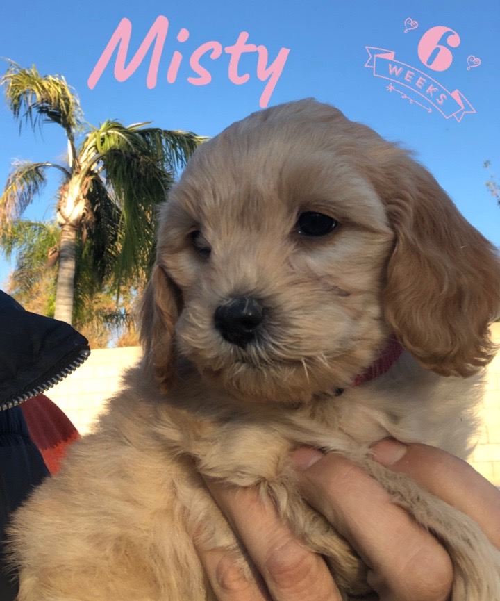 6614D956-C0CB-4CE7-B94F-1D1CBE77365C