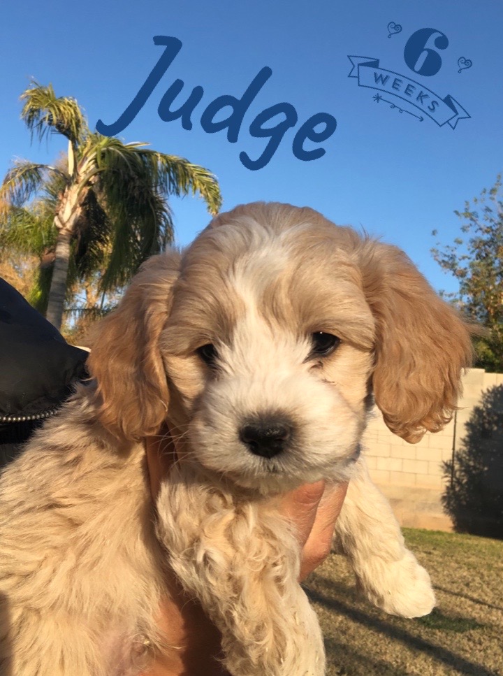 6E92B5D4-A5B0-44A1-B58D-3C0DE99E76FB