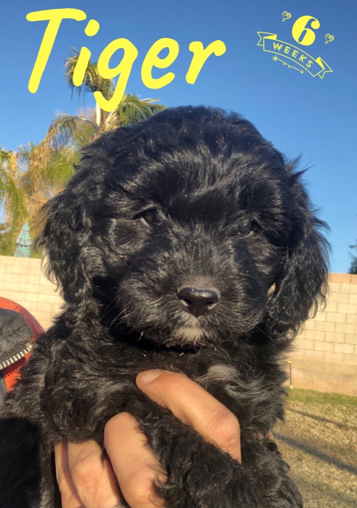 78DC4059-F8AD-4B90-AEA7-86C7E72A8159