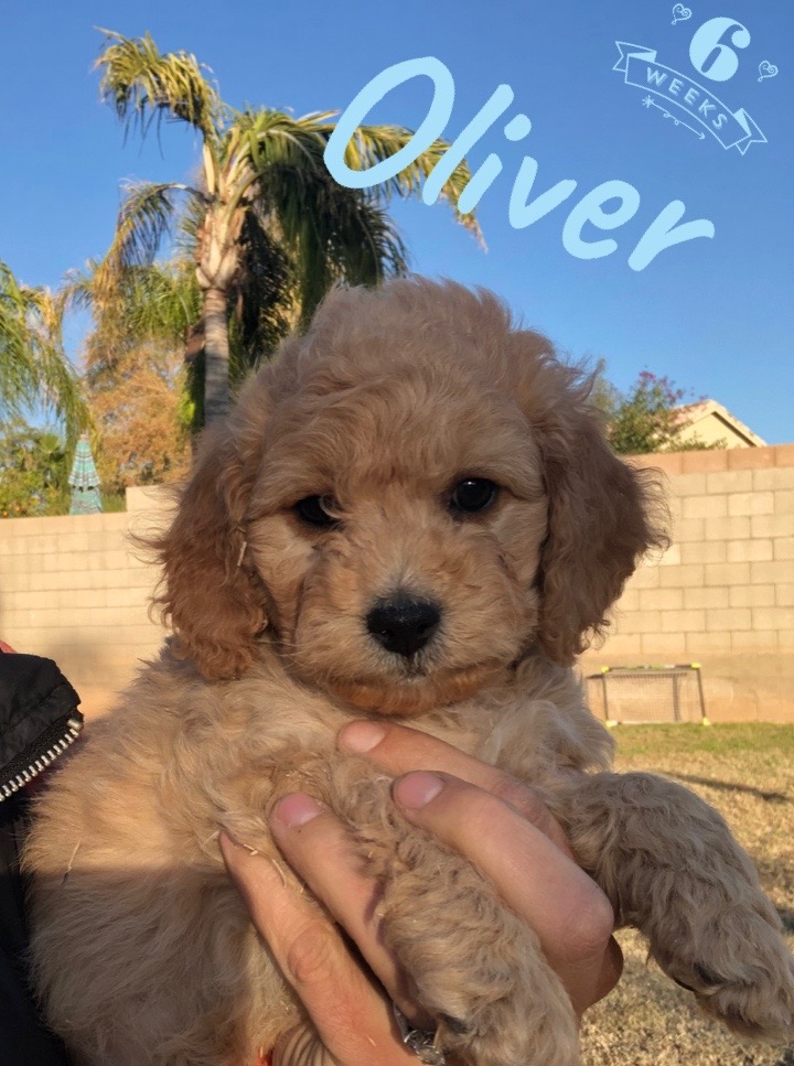 8E967EAC-9390-46BE-9B08-6A16EAE54AE8