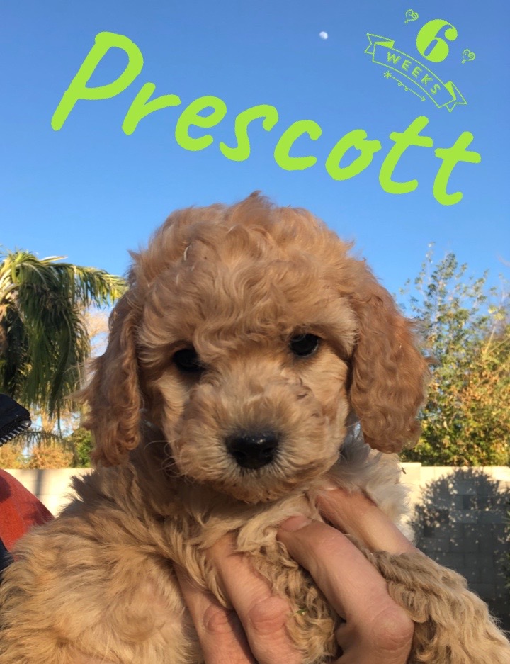 908DE4C2-991B-411F-8D7E-5D2E8A8DC3F1