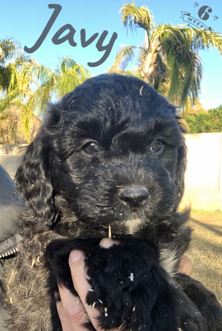 94A6E755-112F-483D-B616-B4A28D39DD59