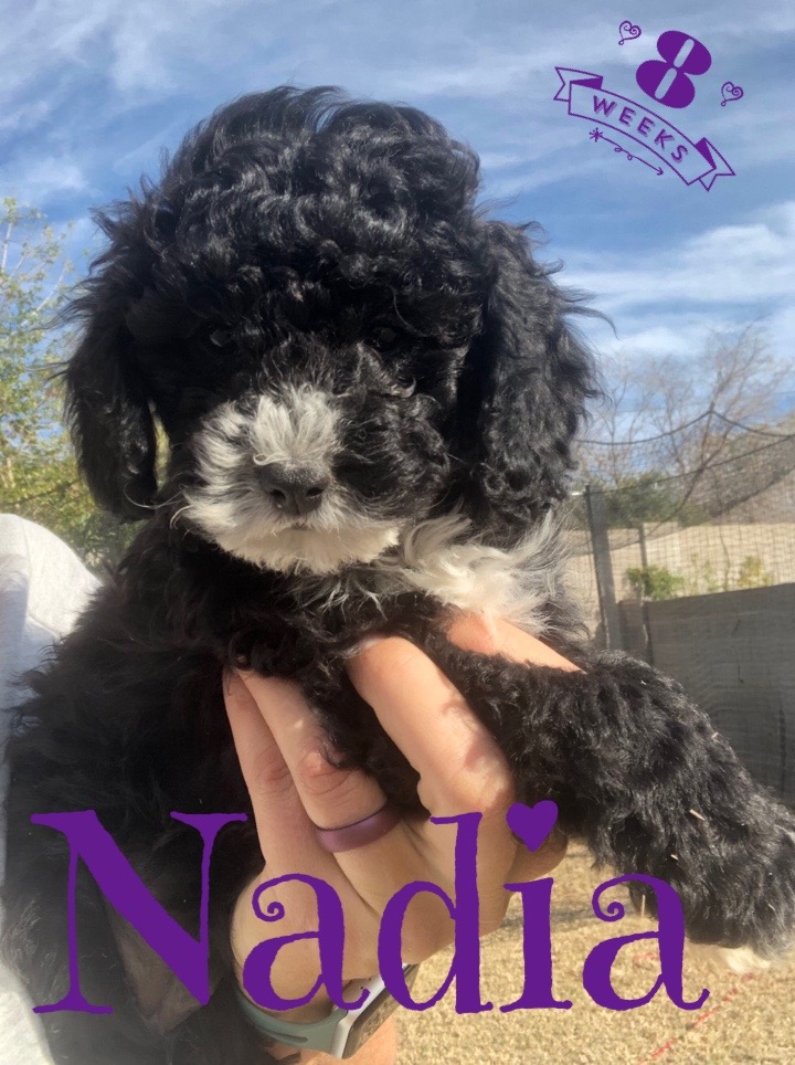 9BC25AFC-AA48-421A-8EDC-5C59DDC48513