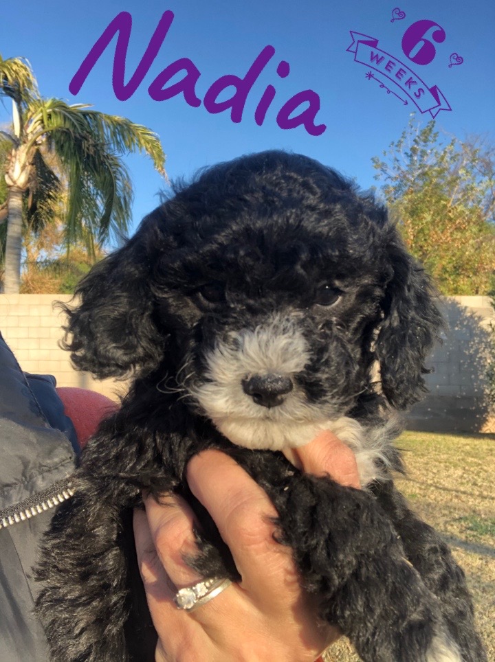 CFB45DFE-142D-4EEC-94C0-DAB589D12566