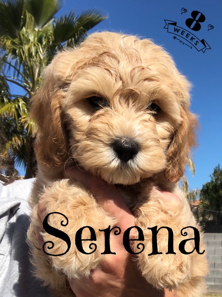 F01AAB13-E022-441A-BC40-520190911779