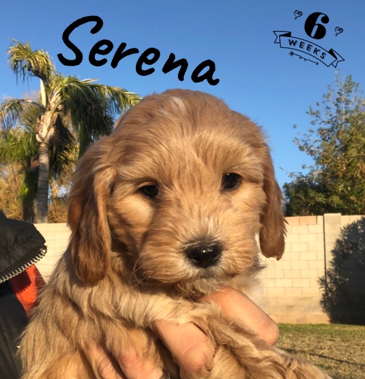 FF1DBE8B-6B17-41A5-AC28-0832C039DA04