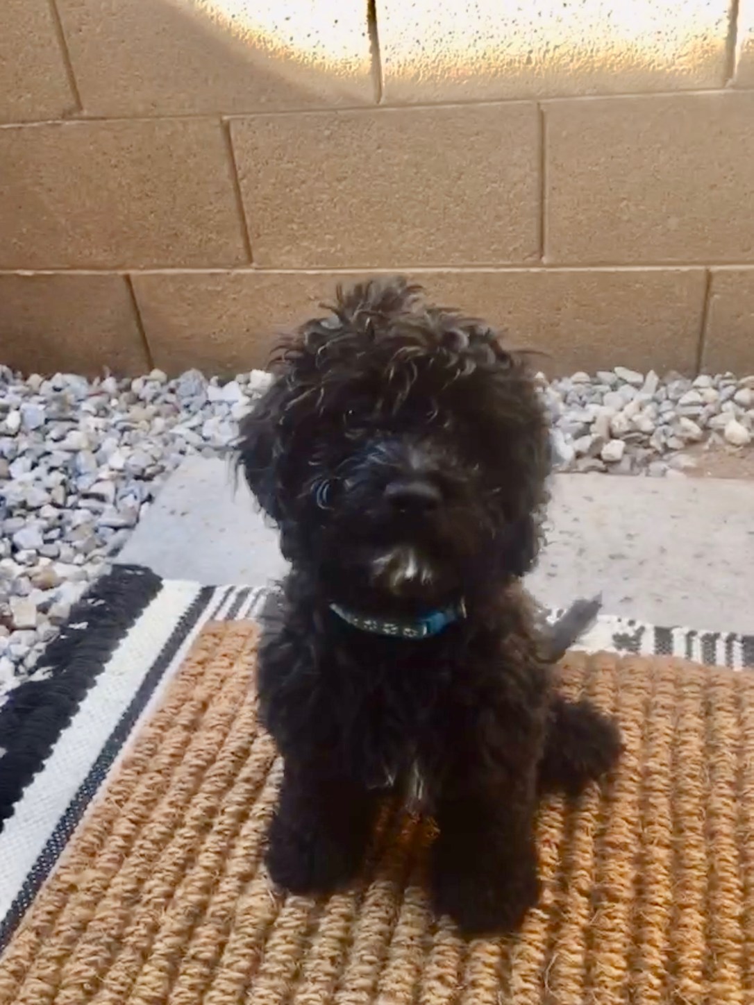 1DD4814F-5E4A-465D-AE6A-65DAF4B28910