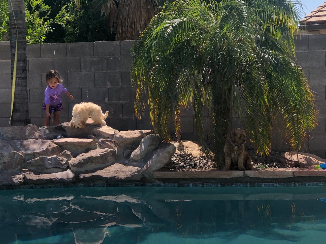 2ADA9946-6C52-45F0-82A0-C25234B56B44