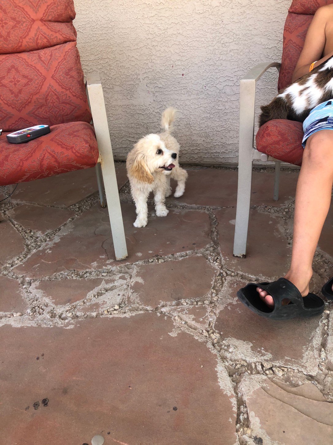 60439B26-717B-4B5F-8323-735D7B2CC4E7