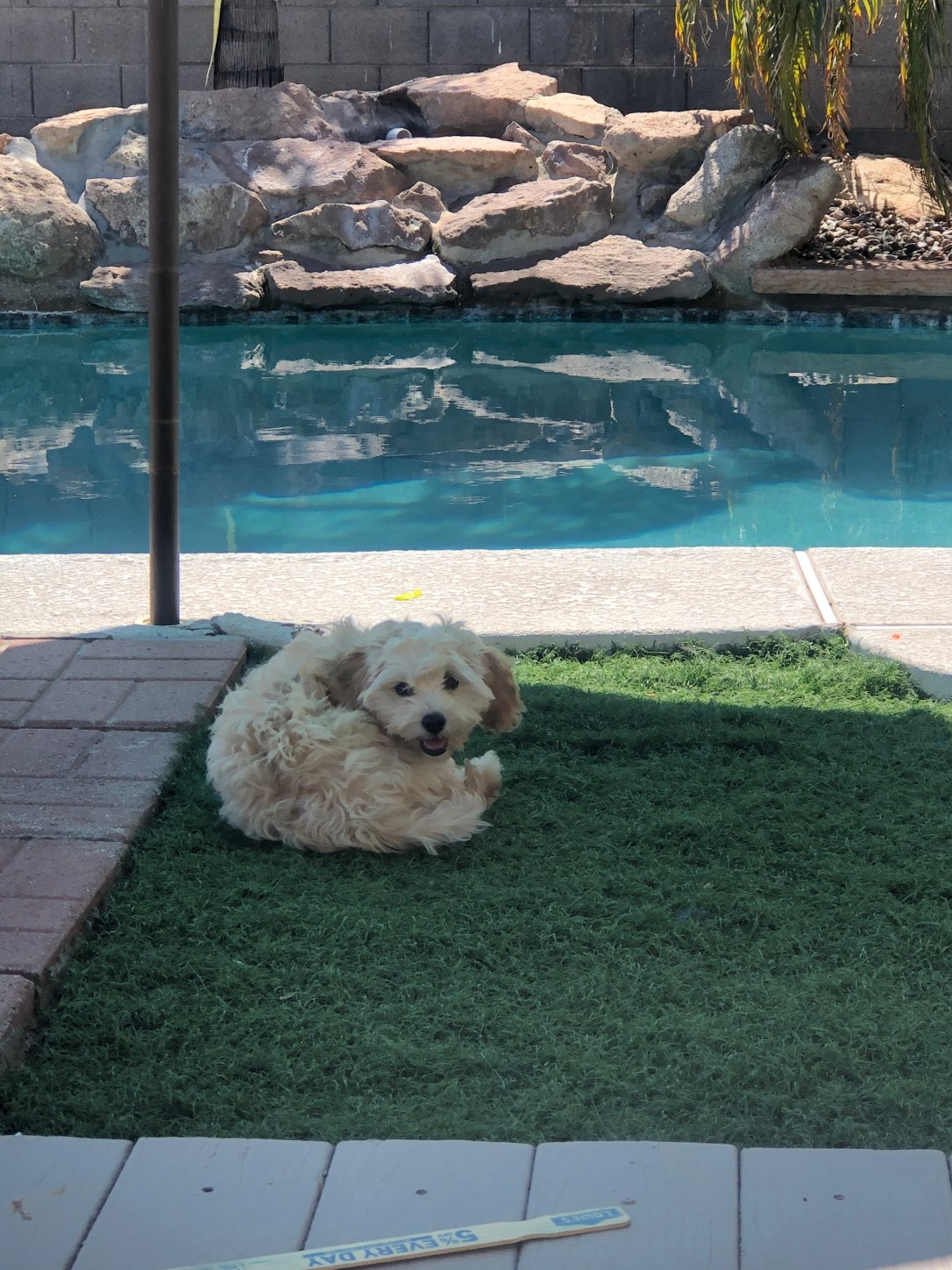 759A9130-EB9A-43C9-A4B3-AE91AA0908C4