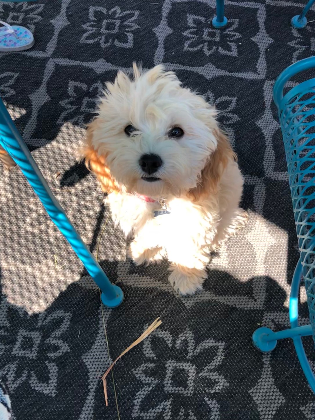 7C72D49E-50A6-46F7-93CD-FE001DDF50CF