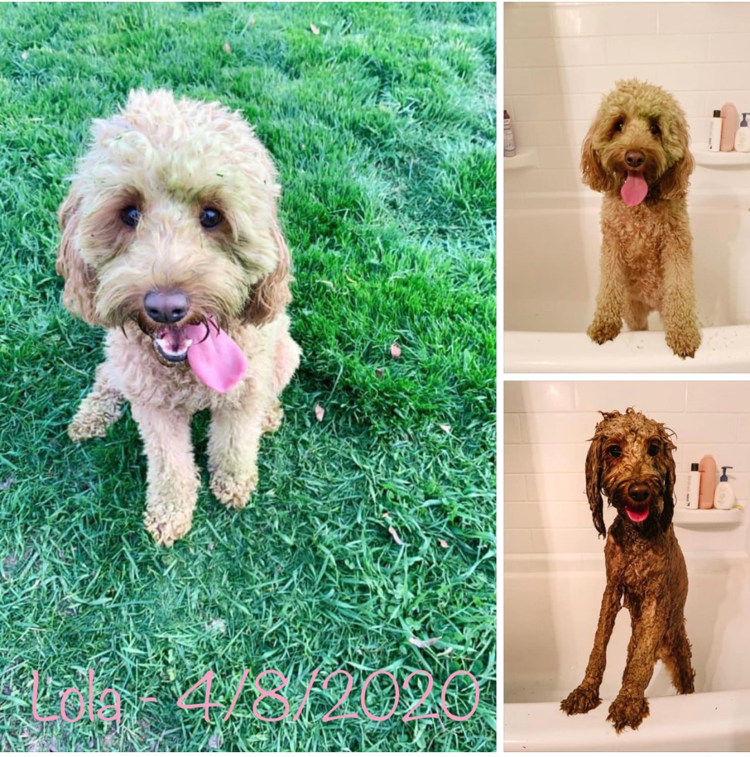 7CA3927A-0CEB-4923-BB45-A8D59D817B84