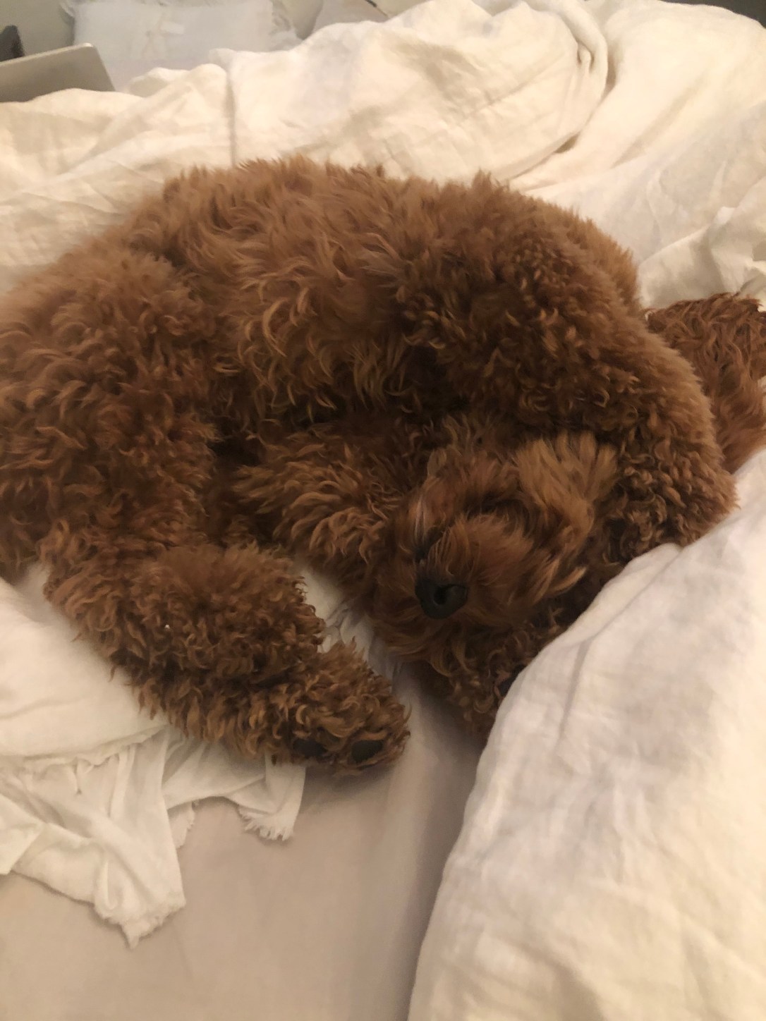 E31A9D62-734E-40C9-B3F1-E6FB114AABD6