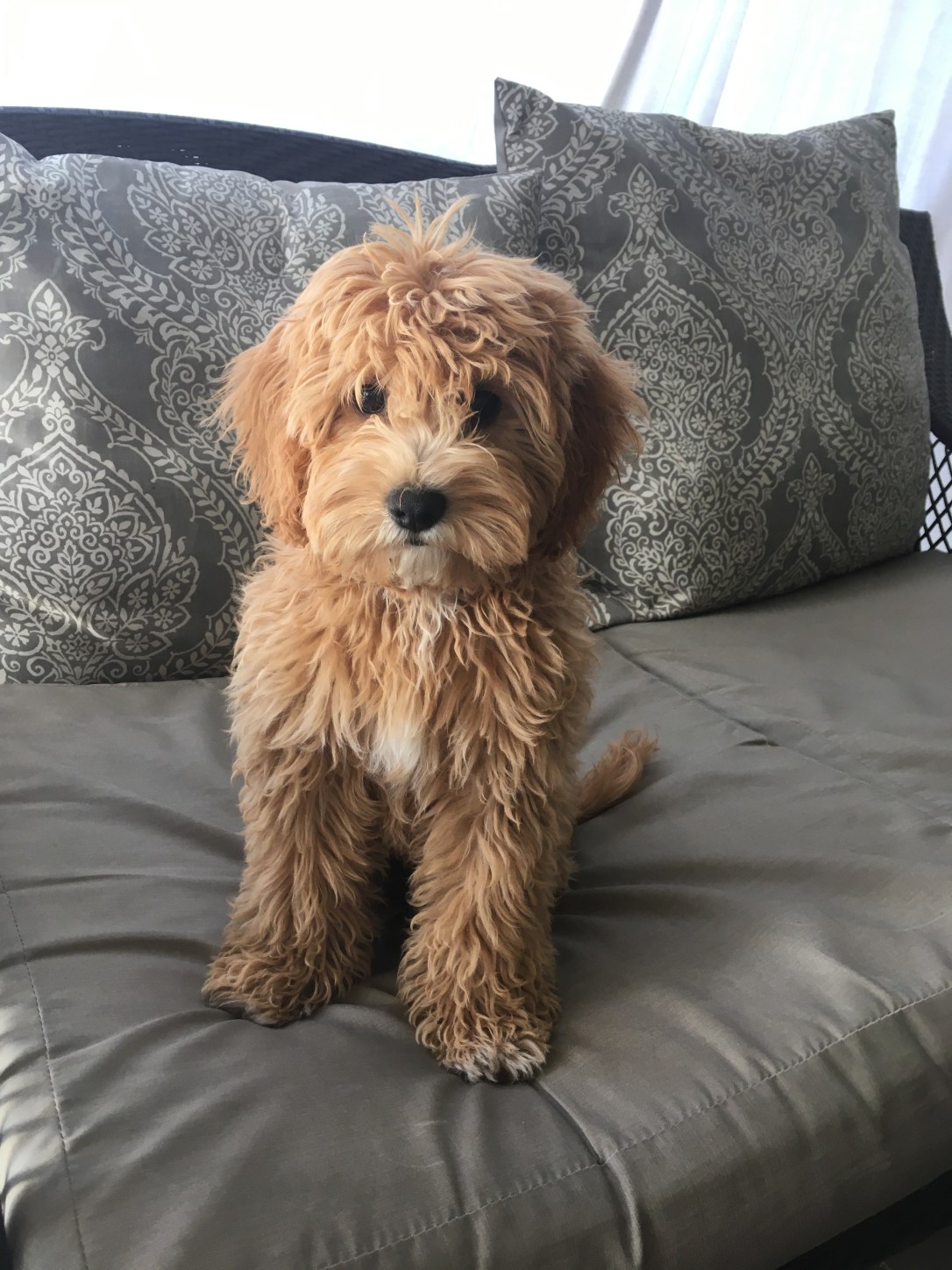 F259A38F-2EA5-45B3-AD89-65CF60228BB8