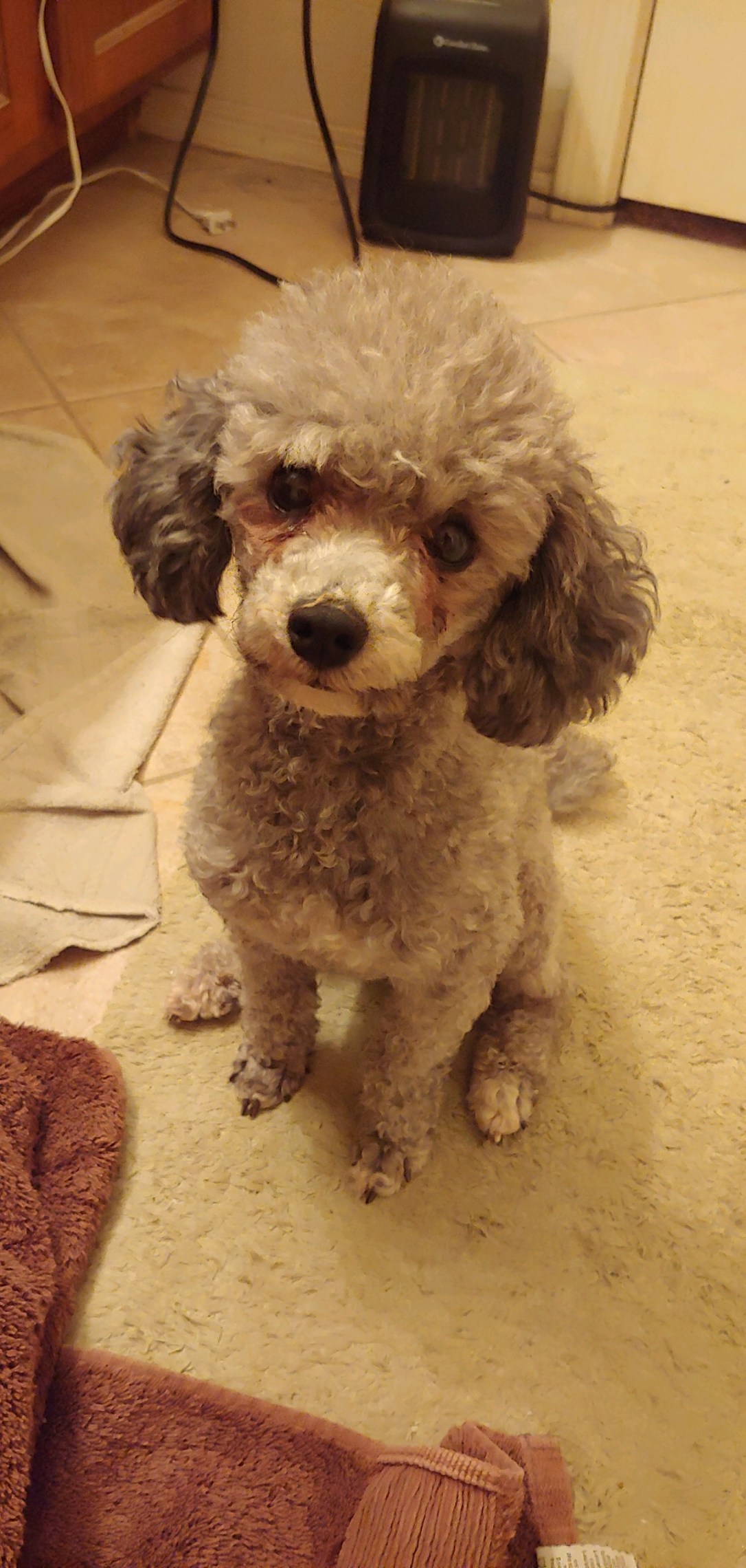 7A092901-3943-4D76-88A8-291C90232B4A