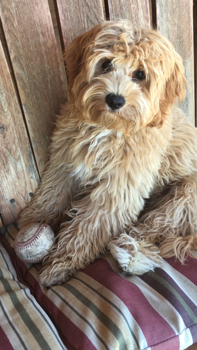 8FAE881D-16E7-4034-81C9-D402FEC64868