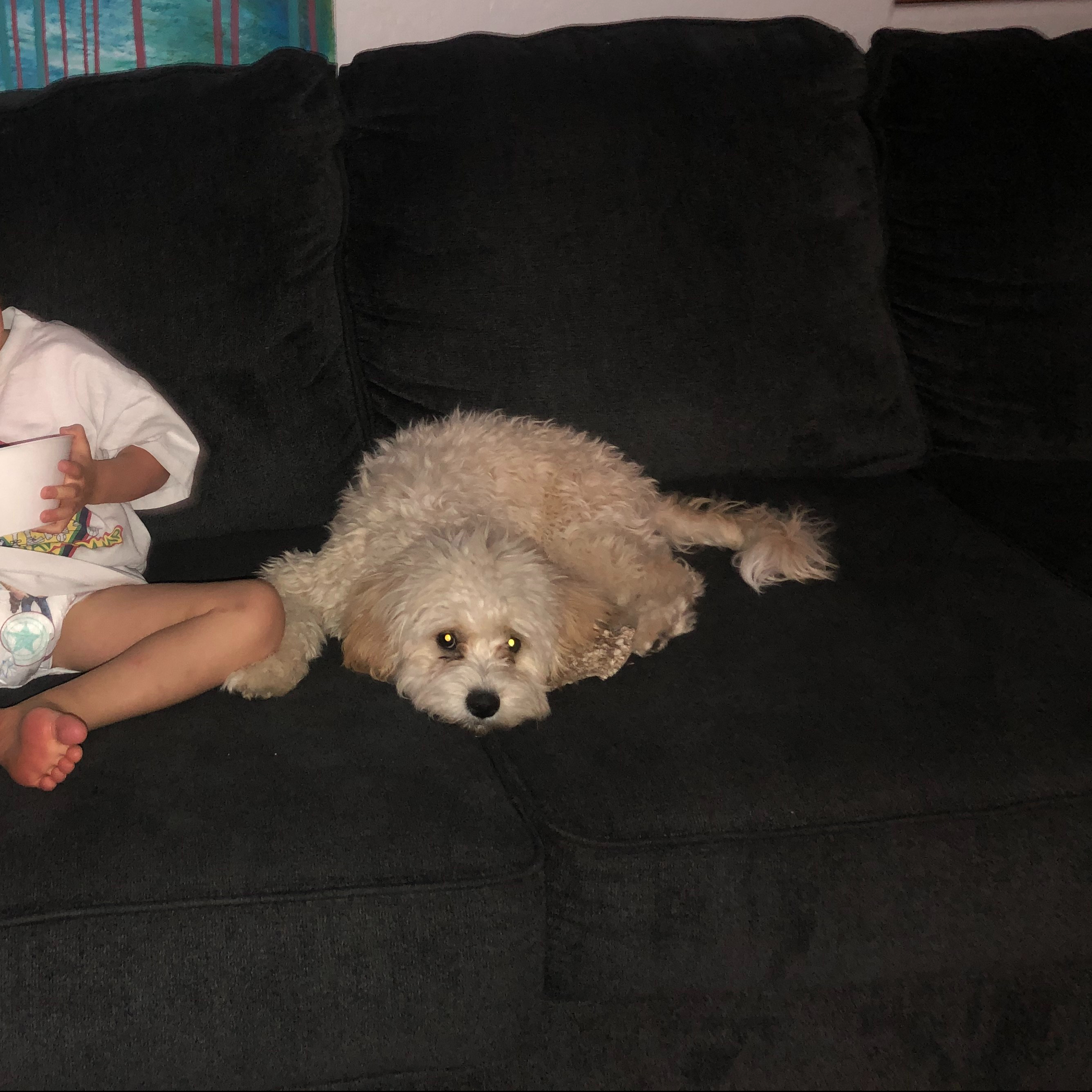 AF45BBA3-7A86-49F8-AA38-293951B1FF93