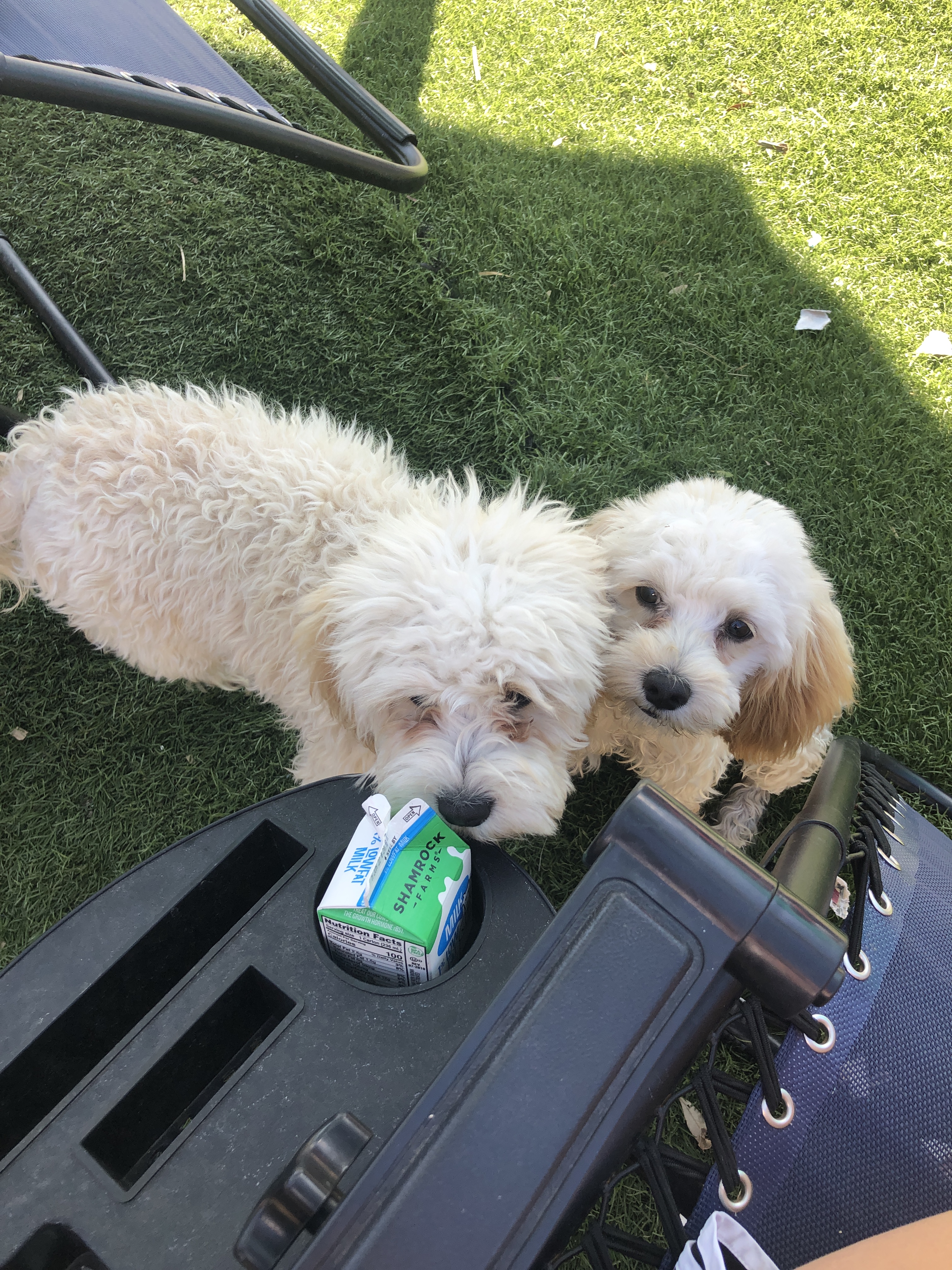 F6C50245-E32B-4A02-A246-4997F7DA18AB