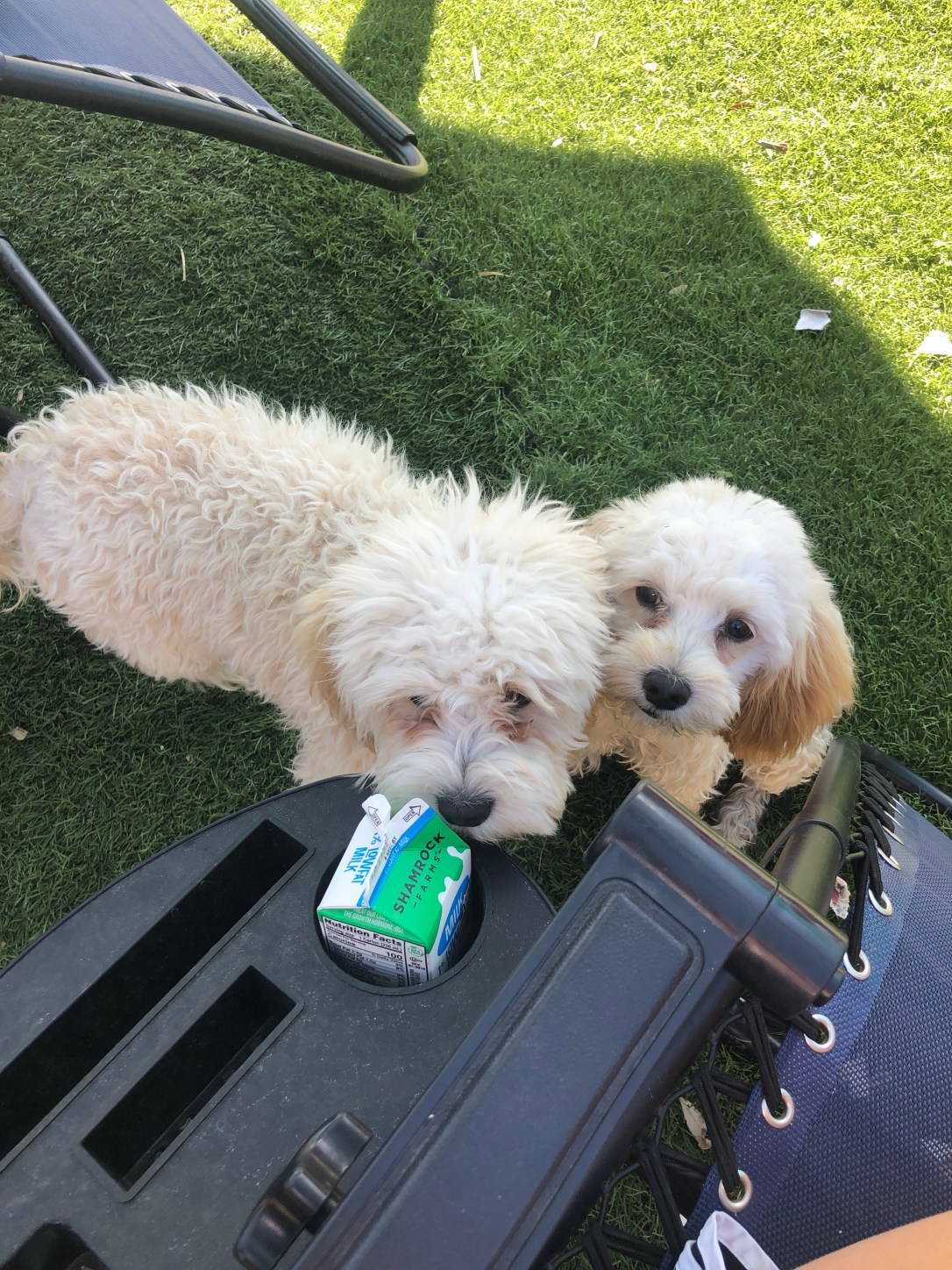 F6C50245-E32B-4A02-A246-4997F7DA18AB