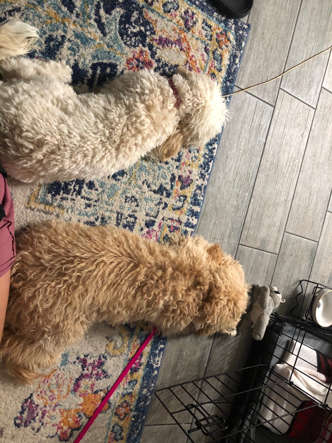 61DF2585-9018-4418-B151-45E241651CE7