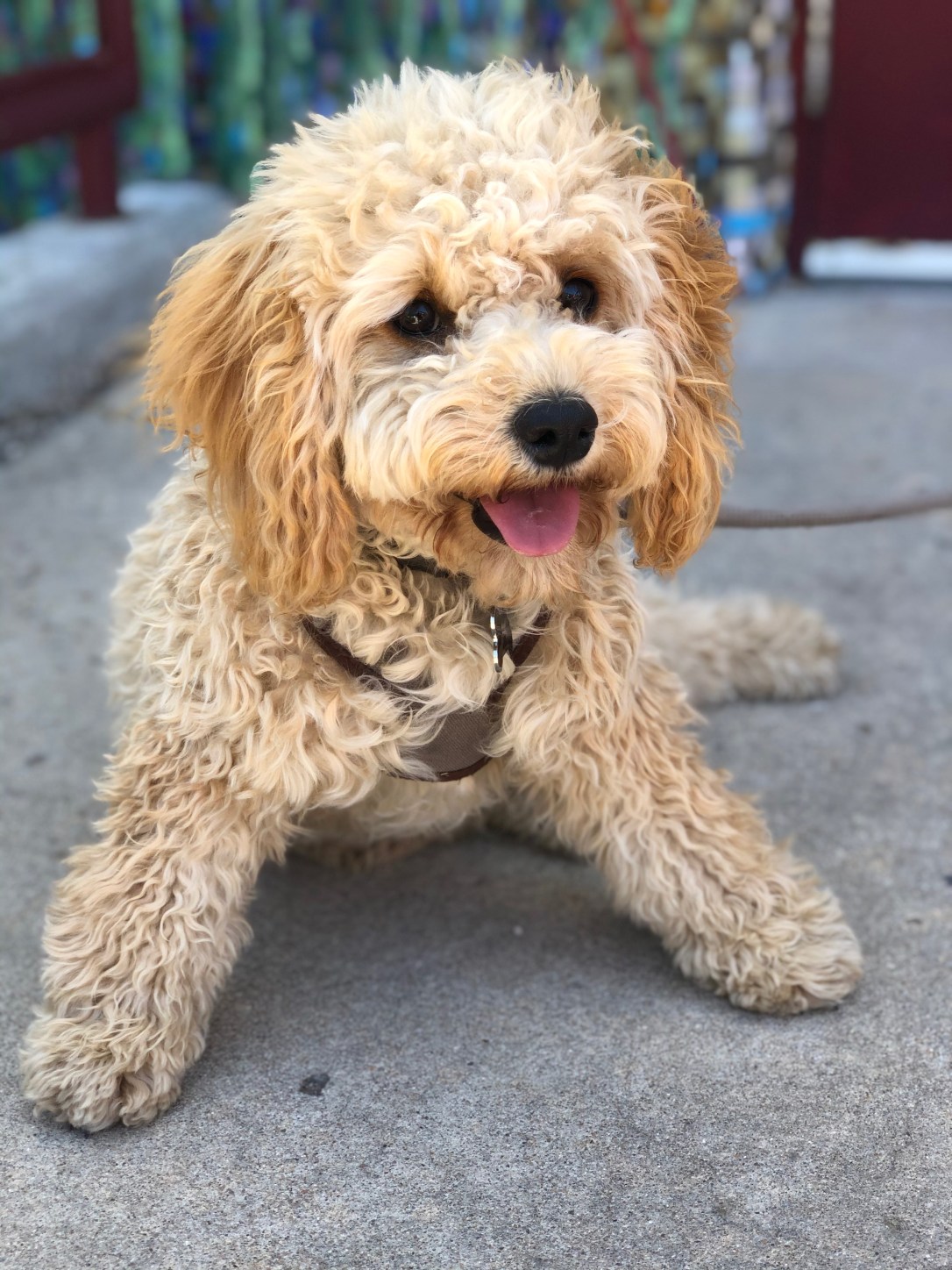 68B04A9E-FADB-4D86-8037-DEF9BC7E1C1A