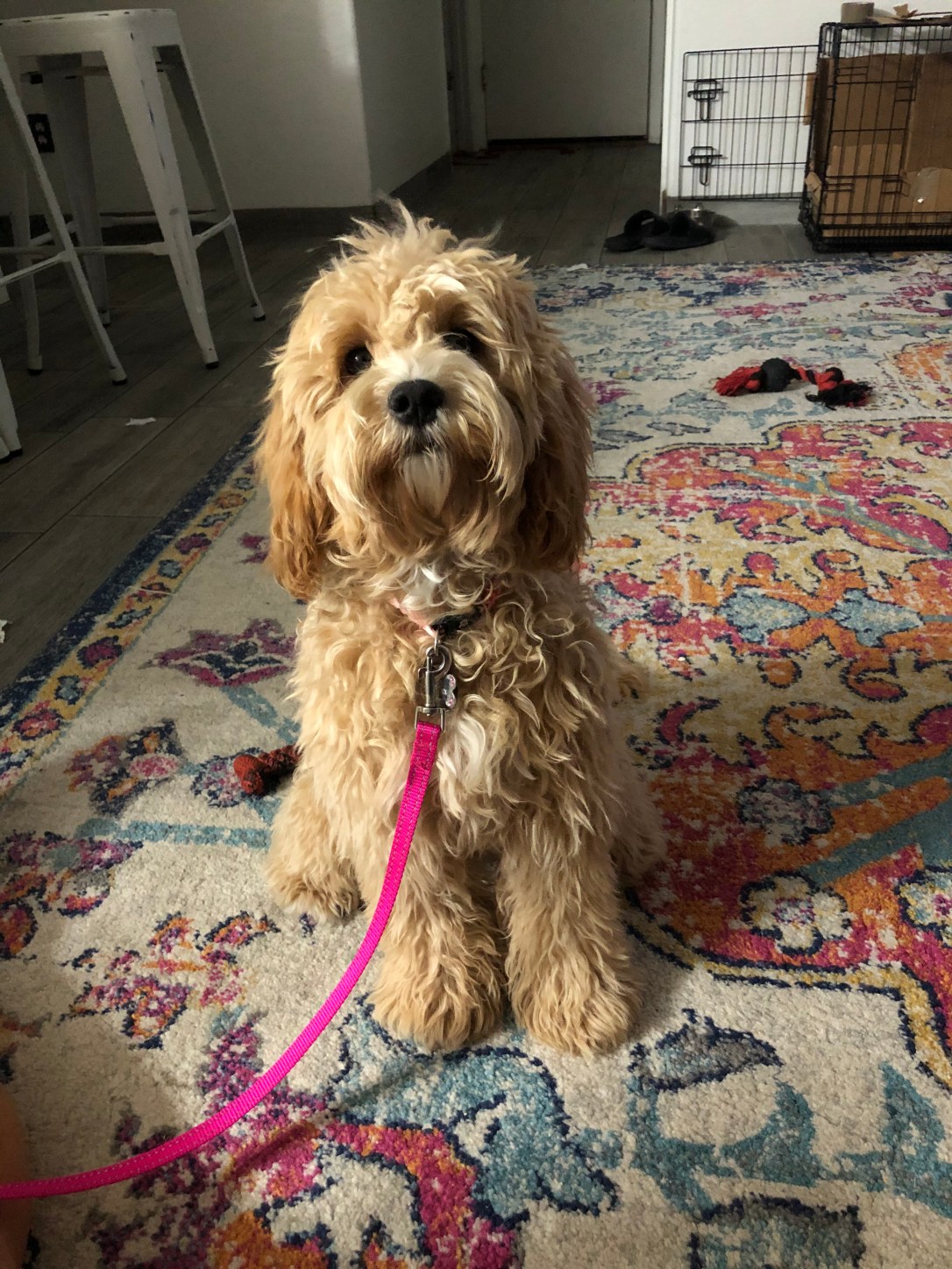 BB21536B-2D90-4A33-B9AC-D5B15607502B