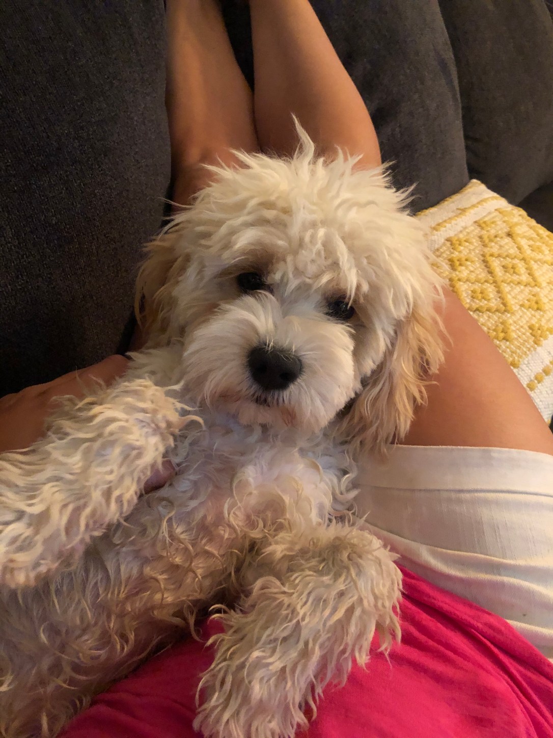 F66E76C3-B4DB-49C2-A070-036B4B4023BA