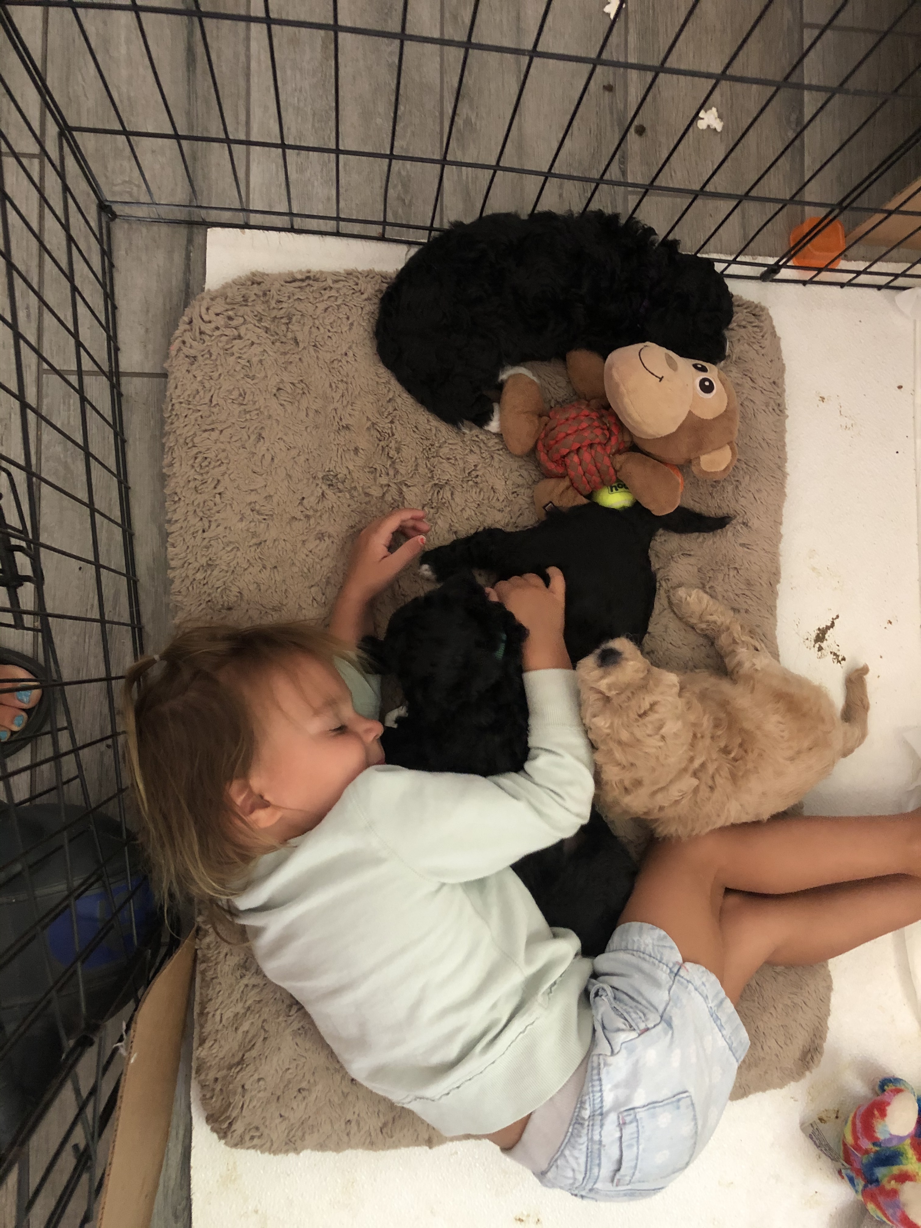 2129B88E-8020-4FC5-B557-761387700191