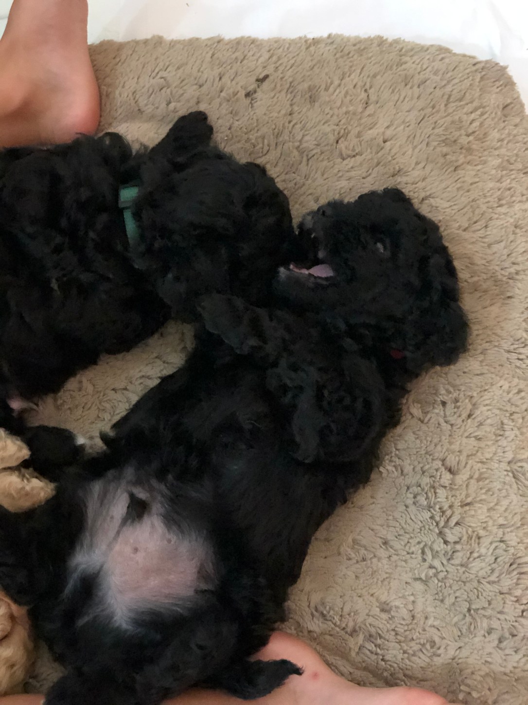 2D165DA5-9DDA-4C1C-9ED5-332EC3915FF7